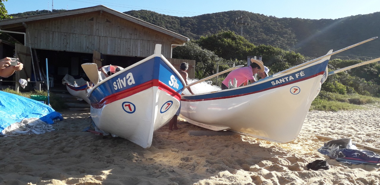 O Mar que Alimenta a Alma: A Tradição da Tainha Ocupa a Praia Central de BC