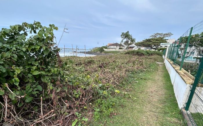 Miniatura da notícia