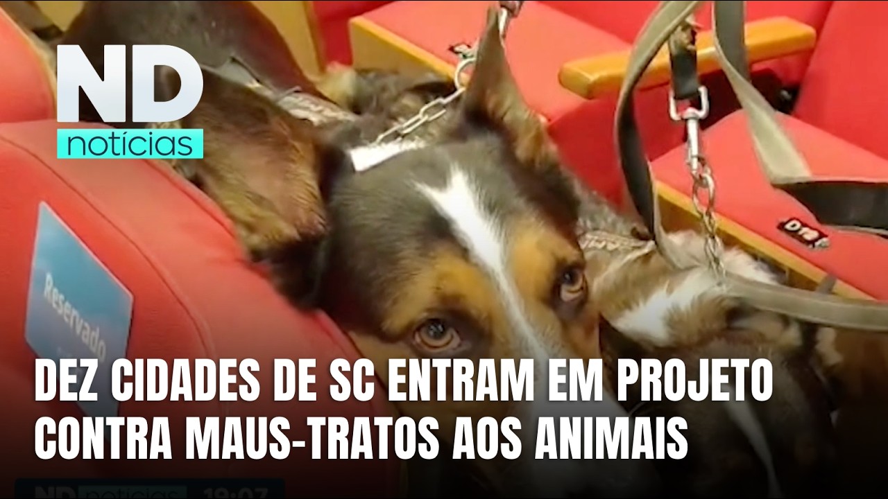 Miniatura da notícia