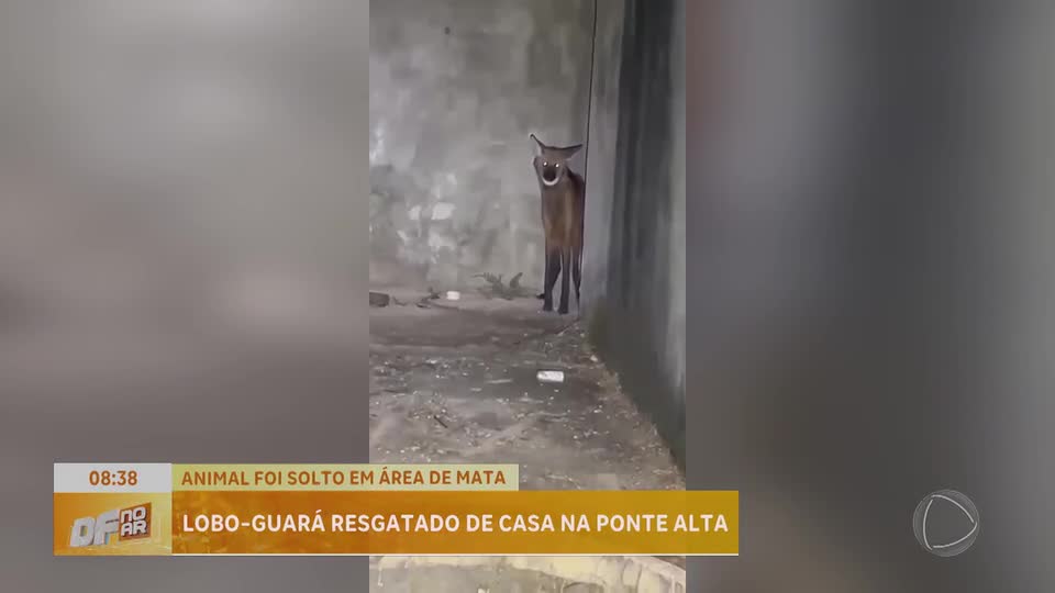 Miniatura da notícia
