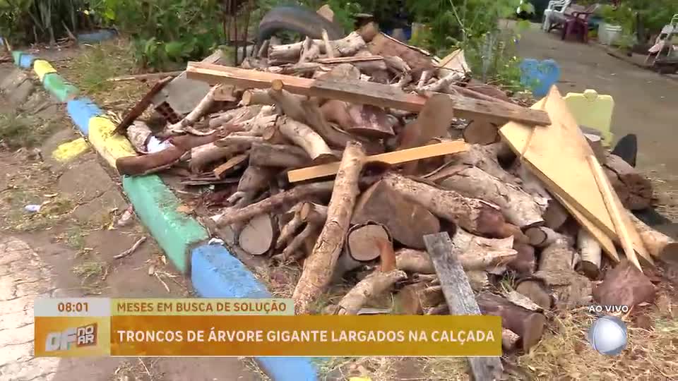 Miniatura da notícia